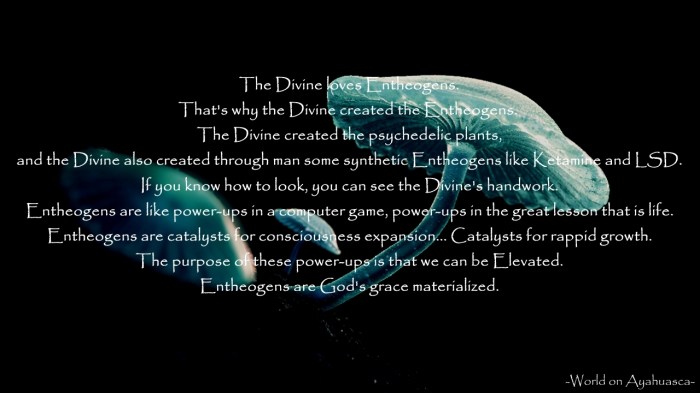 GodlovesEntheogens