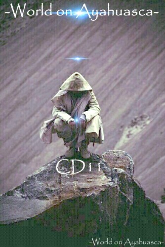WorldonAyahuascaCD11